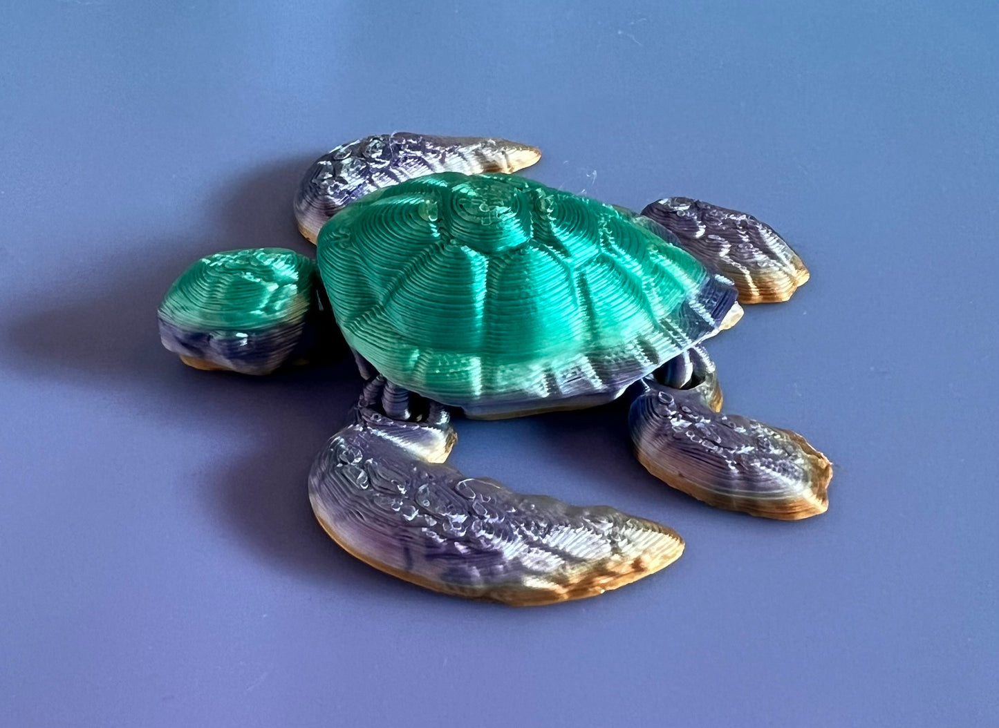 Rainbow Sea Turtle