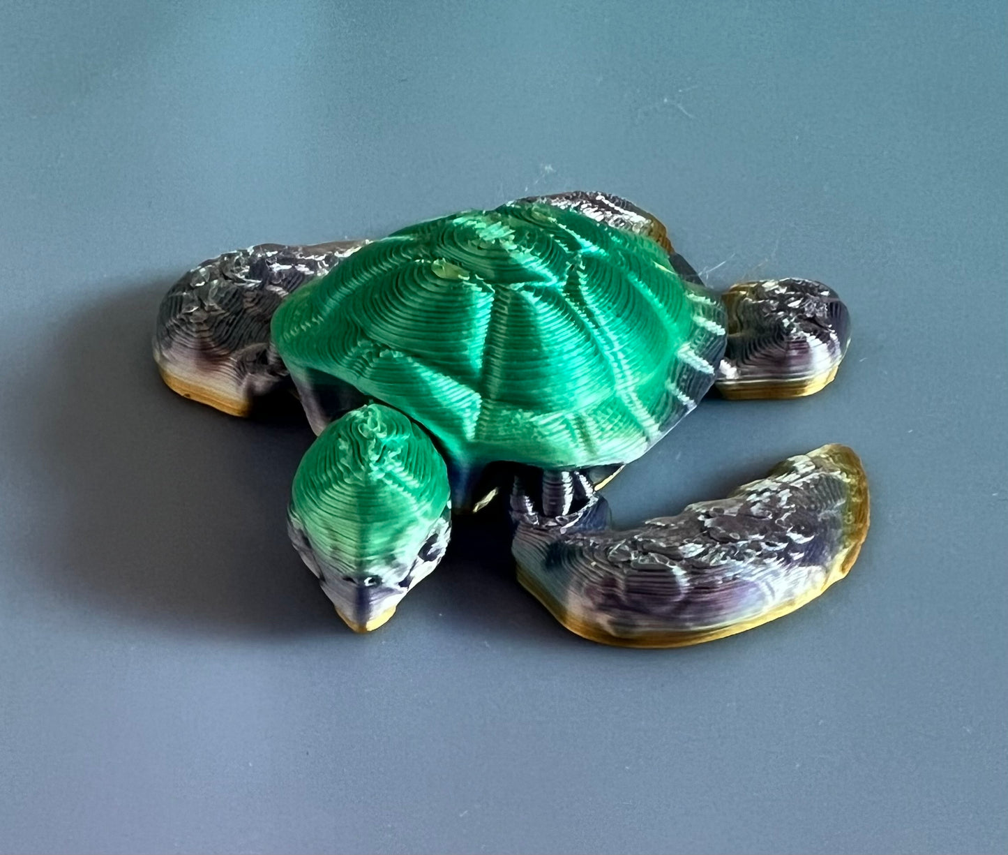 Rainbow Sea Turtle
