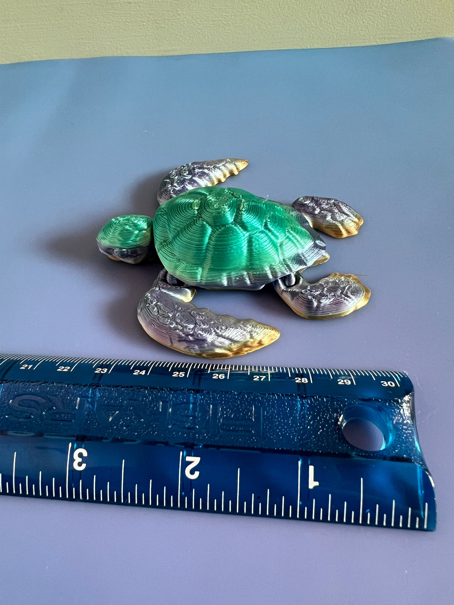 Rainbow Sea Turtle